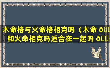 木命格与火命格相克吗（木命 🐎 和火命相克吗适合在一起吗 🌻 ）